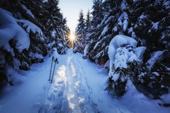 slnečné potešenie