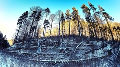 ..druhá strana lesa ....