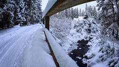 .. ZIMNOU KRAJINOU .....