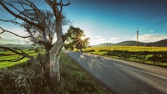 ..slnečné potešenie  II.