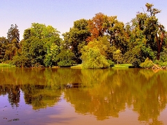 Zátišie