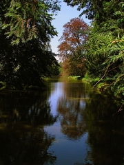 Čarovná krajina