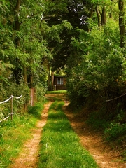 Cesta do rozprávky