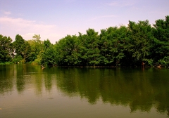 Vodné kráľovstvo
