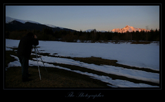 The Photographer