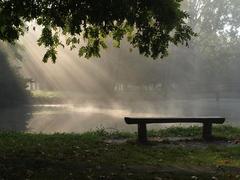 Jesenný park