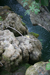 voda