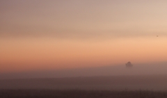 ani vták nezaspieval...