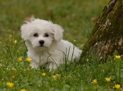 Pozrite, aka som krasna