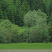 Slovenský prales