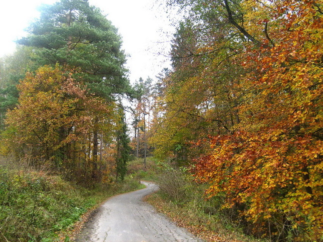 jesennými cestami necestami