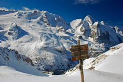 Marmolada 