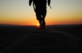 To The Sun