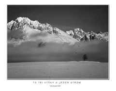 Ta tri vtáky a jeden strom