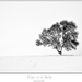 Zima a strom
