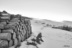 Tatry_Zdiar