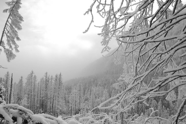 Zima tatry