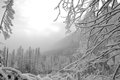 Zima tatry