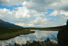 Krasa