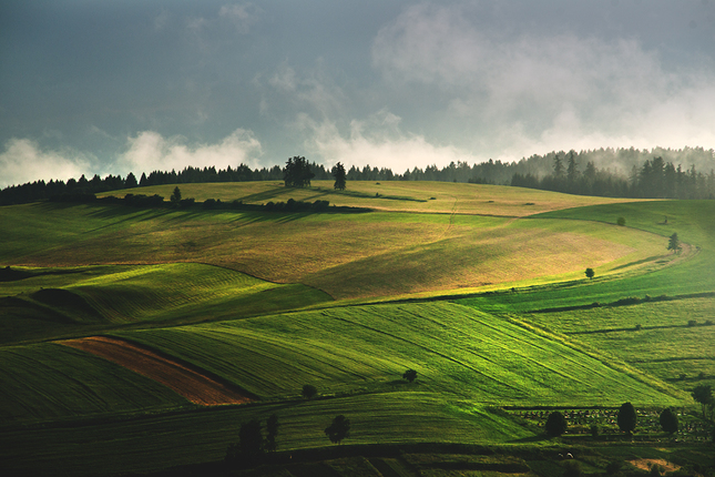 Už aby prišla jar...