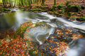 Jesenny potok