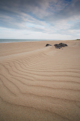 Ripples