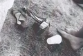 LomoPohoda