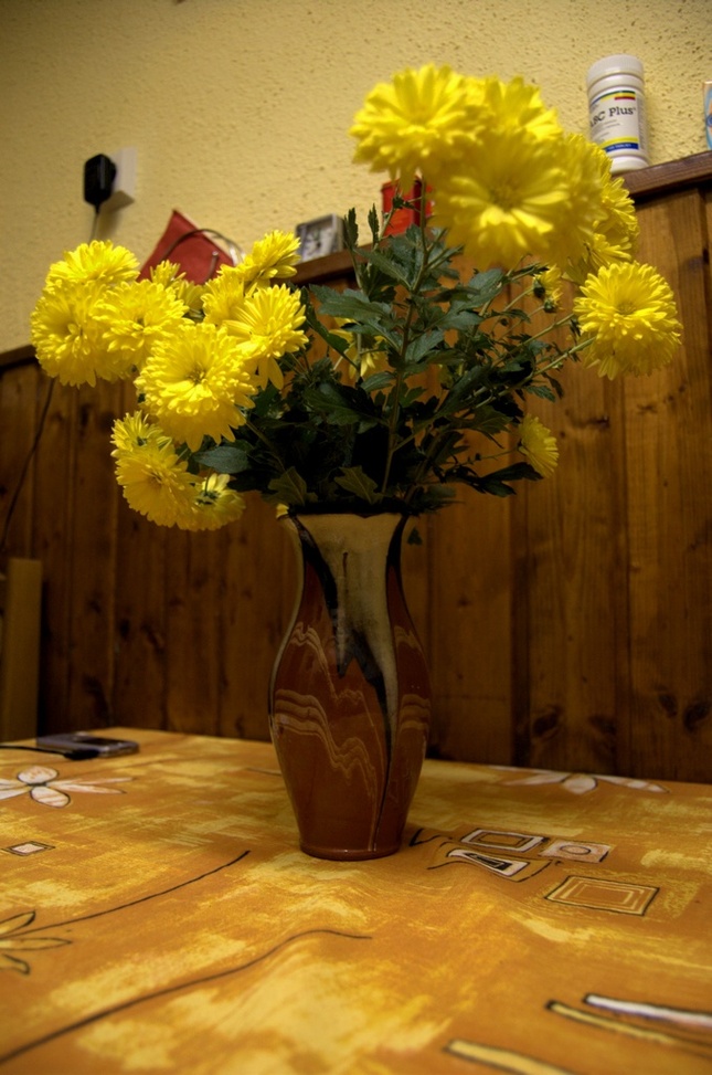 Kvety vo vaze
