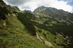 cesta z Hincového plesa