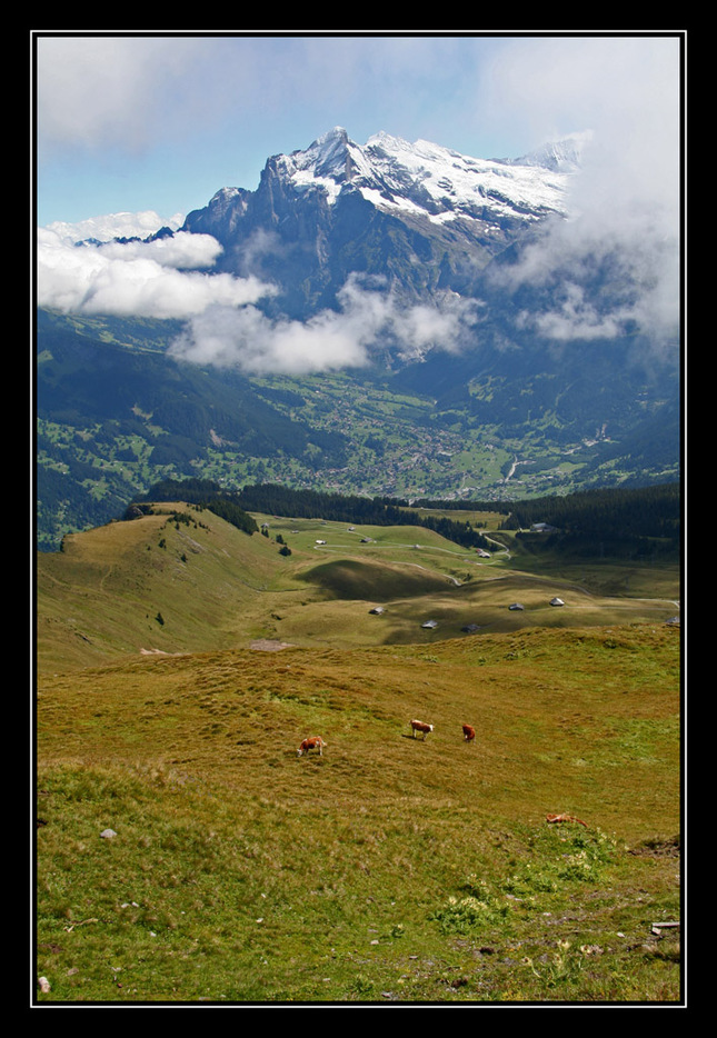 Zvoniace kopce (pod Jungfrau)