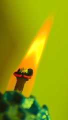 Fire one