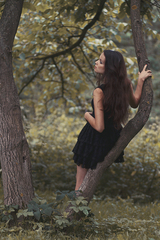 If trees could speak...
