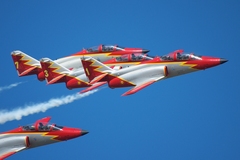Patrulla Aguila