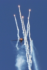 F-16 RNLAF Demo team
