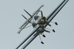 Flying Bulls