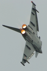 Typhoon