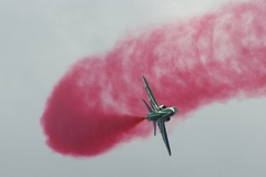 Saudi Hawks