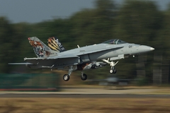 Tiger Hornet