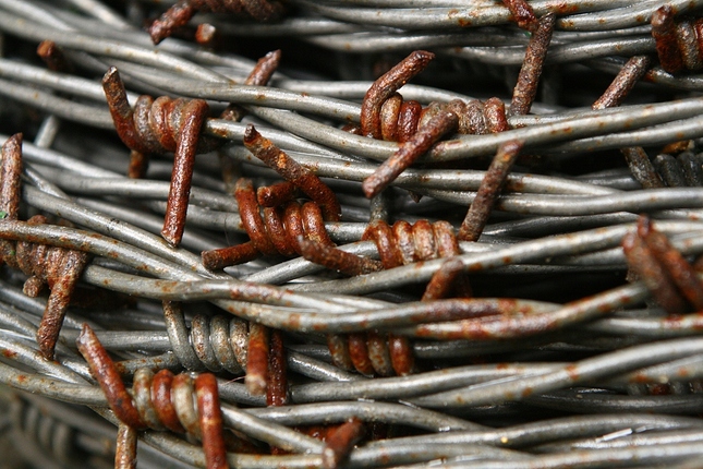 Barbed wire