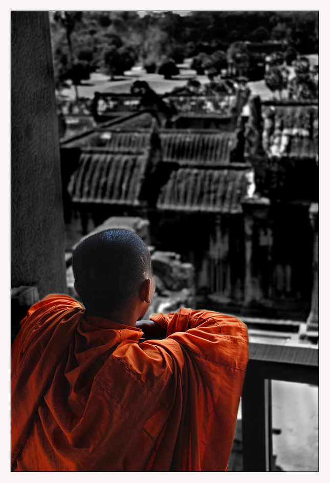 Monk view