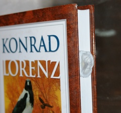 Hosť profesora Lorenza