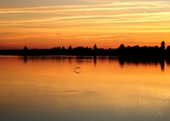 Twilight
