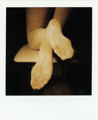 The Polaroid #133