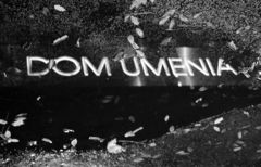 dom umenia