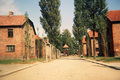 Auschwitz 16