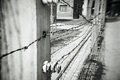 Auschwitz 16