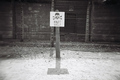 Auschwitz 16