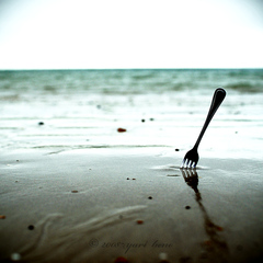 The fork