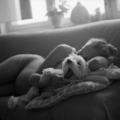 Intimacy II.