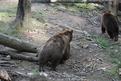 utek pred strachom (fotografom)